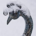 112 Winter Plückersburg_KA77571-1